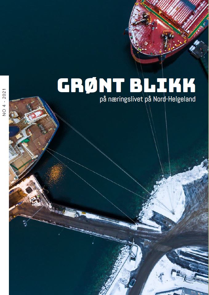 Grønt Blikk no4